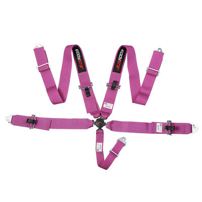 EDDY Purple 5 Point Racing Seat Belt Harness SFI Certificaat voor racewagen