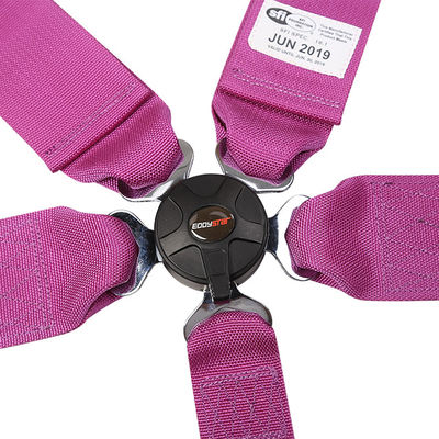 EDDY Purple 5 Point Racing Seat Belt Harness SFI Certificaat voor racewagen